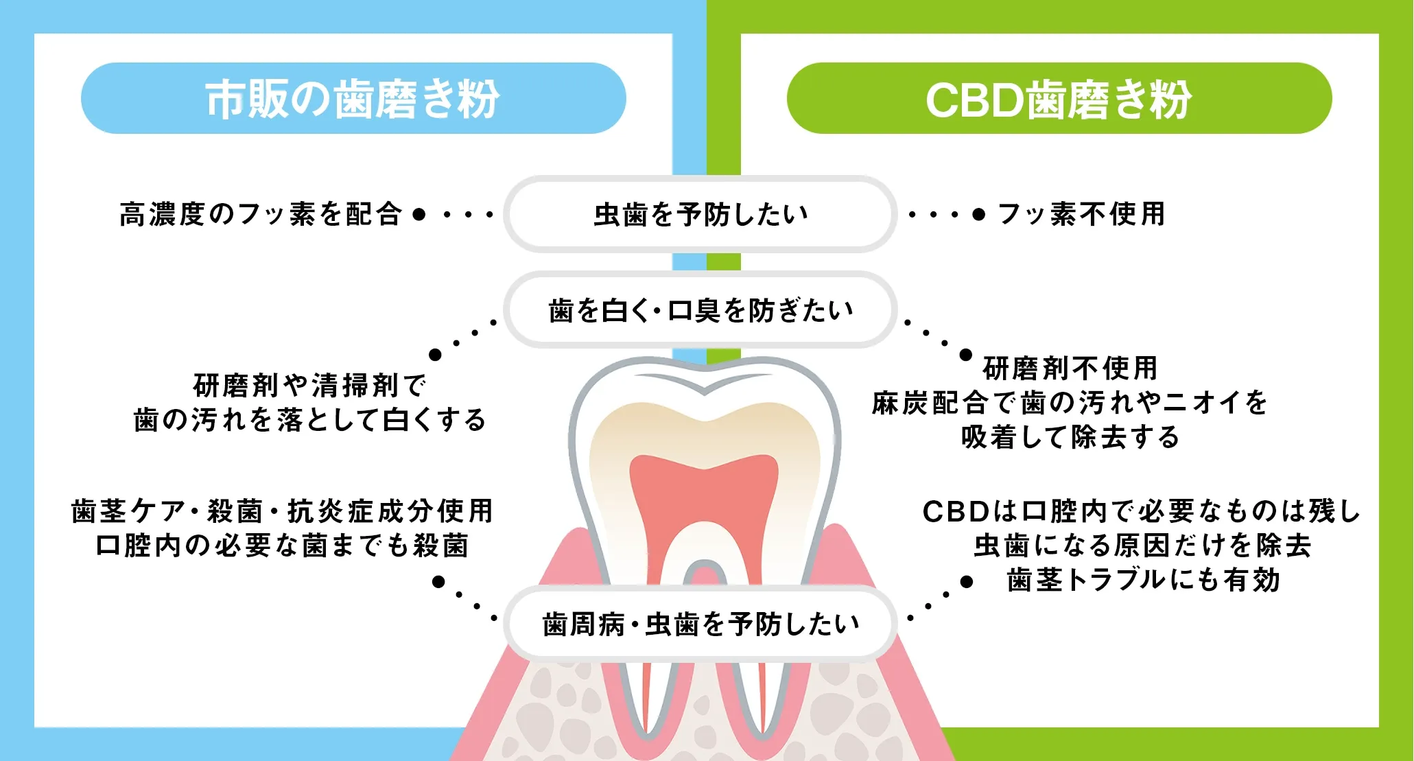 市販歯磨き粉とCBD 歯磨き粉との比較